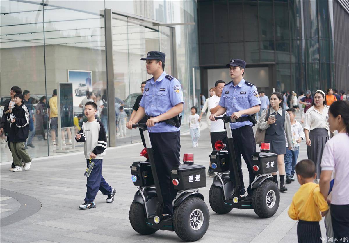 菠菜网官网